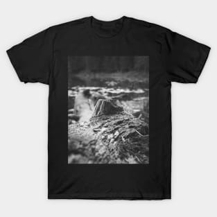 Fallen Tree in the Lake V3 T-Shirt